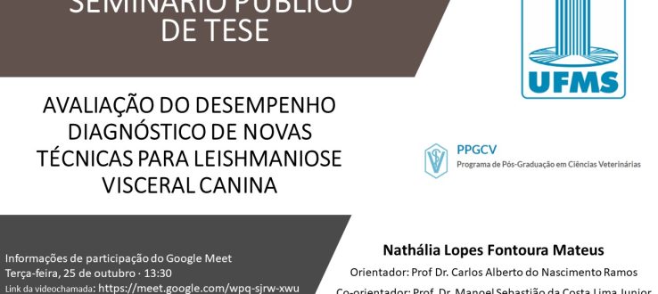Divulgação – Seminário Público de apresentação de Tese – Nathália Lopes Fontoura Mateus