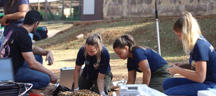 Docentes do Programa de Pós-graduação em Ciências Veterinárias da FAMEZ/UFMS atuam no resgate e tratamento de onças afetadas pelas queimadas no Pantanal de Mato Grosso do Sul!