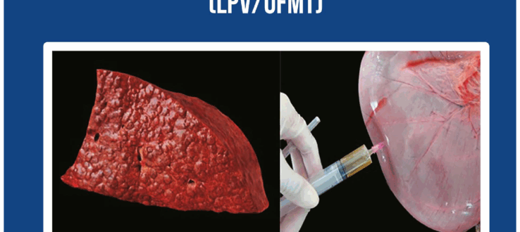 Boletim Anual do Laboratório de Anatomia Patológica e Laboratório da UFMS (LAP-UFMS) e do Laboratório de Patologia Veterinária da UFMT (LPV-UFMT)