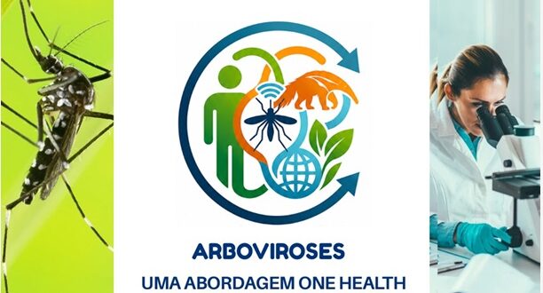 Arboviroses: uma abordagem One Health